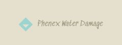Phenex Water Damage